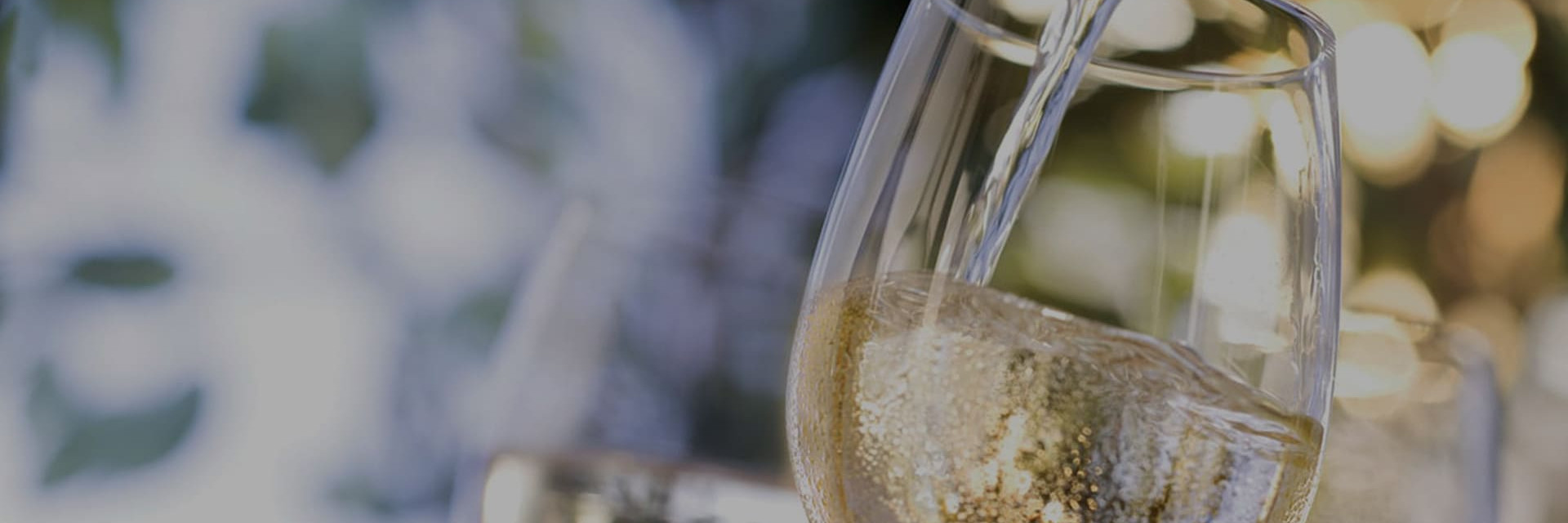 Lagertemperatur, Trinktemperatur für Rotweine, Weißweine, Roséweine oder Champagner. Erfahren Sie alles Wissenswerte über die sorgfältige Aufbewahrung von Weinen.