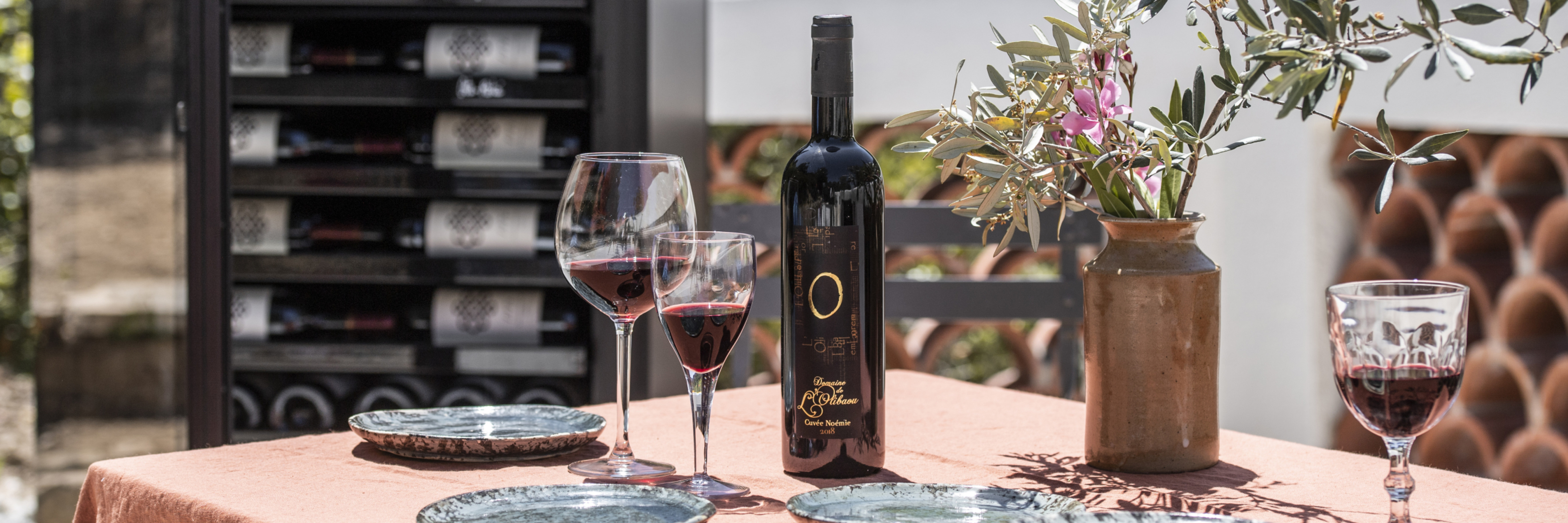 Pourquoi choisir une cave à vin de la marque EuroCave ? Créateur de la