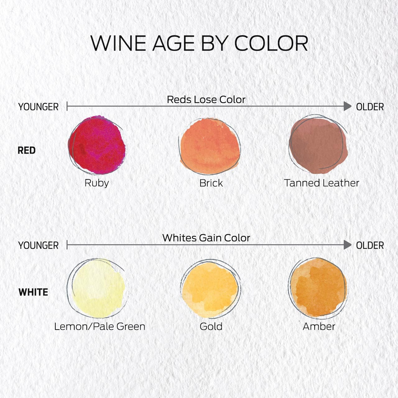 wine-tips-blog-article-what-really-happens-as-wine-ages-eurocave-2.jpg wine-tips-blog-article-what-really-happens-as-wine-ages-eurocave-2.jpg