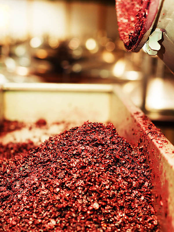Peaux de raisin et résidus, également connus sous le nom de marc, extrait d'une cuve en inox d'un domaine après extraction du jus.