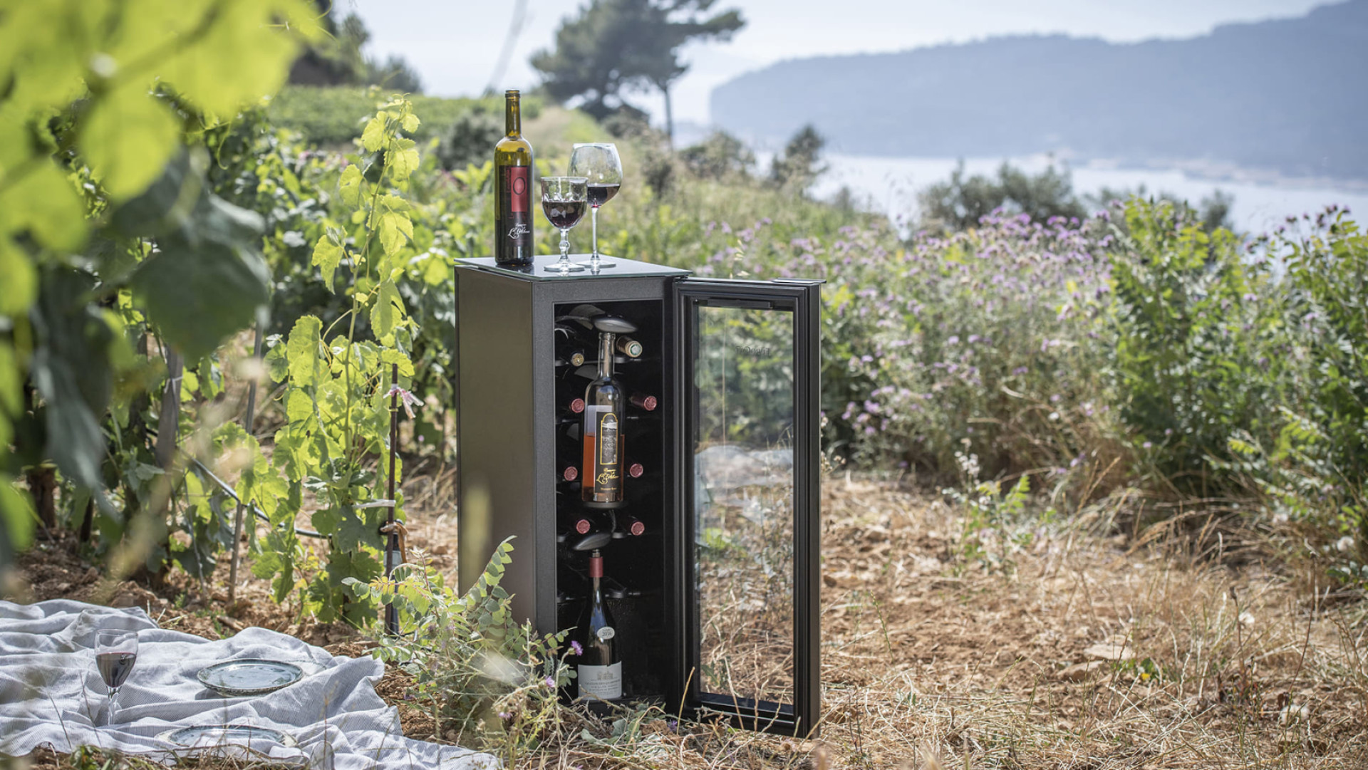 Plaisir de déguster un verre de vin à bonne température à l'occasion d'un déjeuner sur l'herbe. - Bar à vin Tête à Tête EuroCave