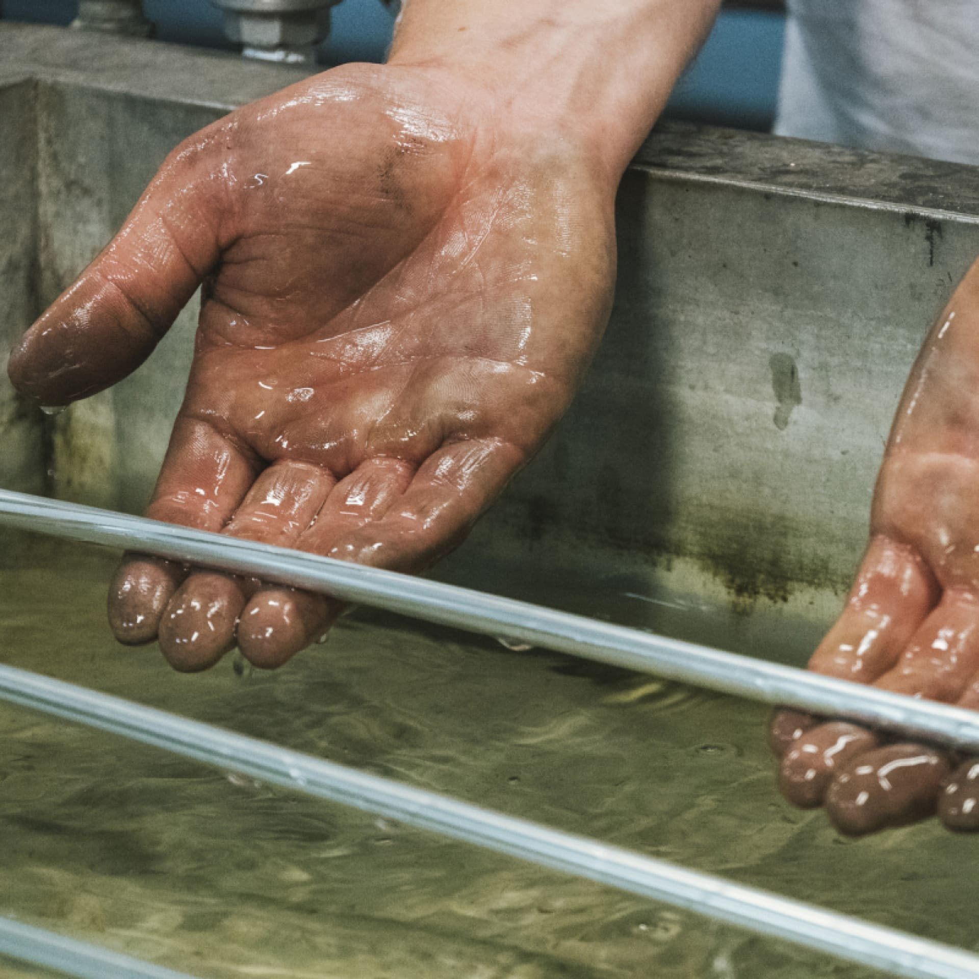 Workers specialized and trained in the manufacture of eletronic wine cellars.