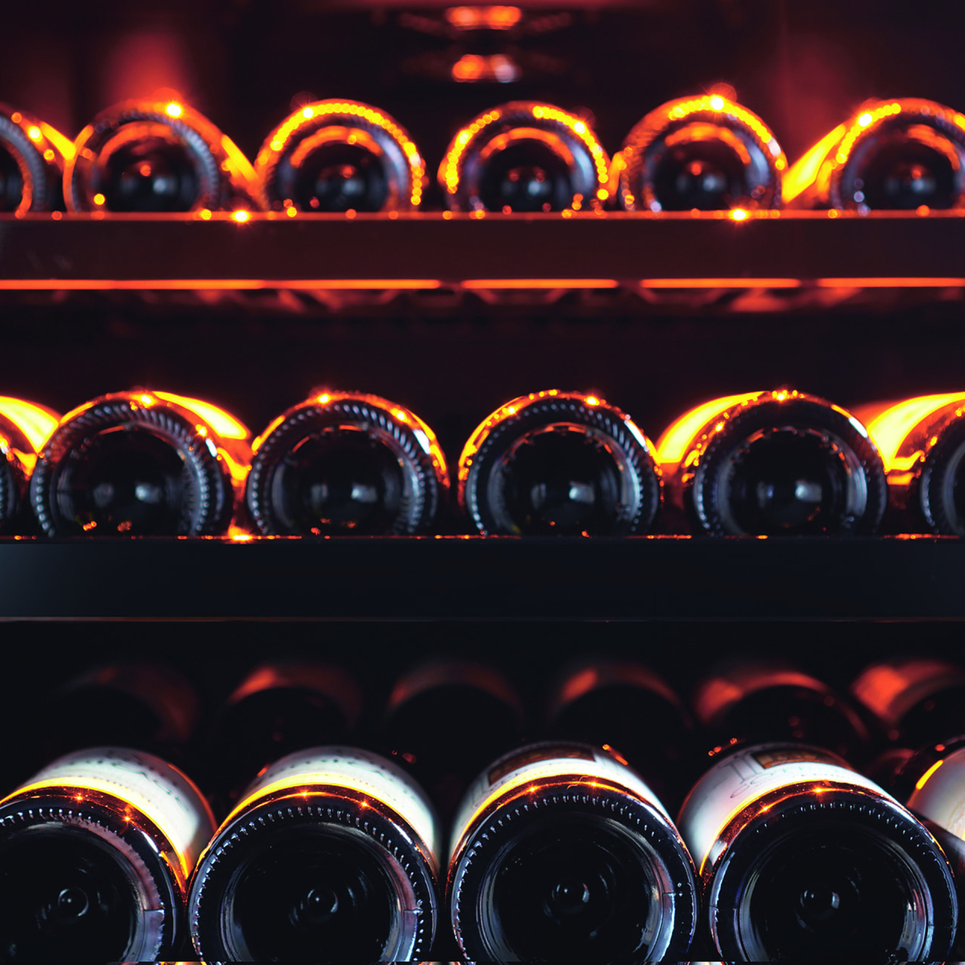Rangement cave à vin - étagères en métal avec supports bouteilles individuels, façade noire brillante.