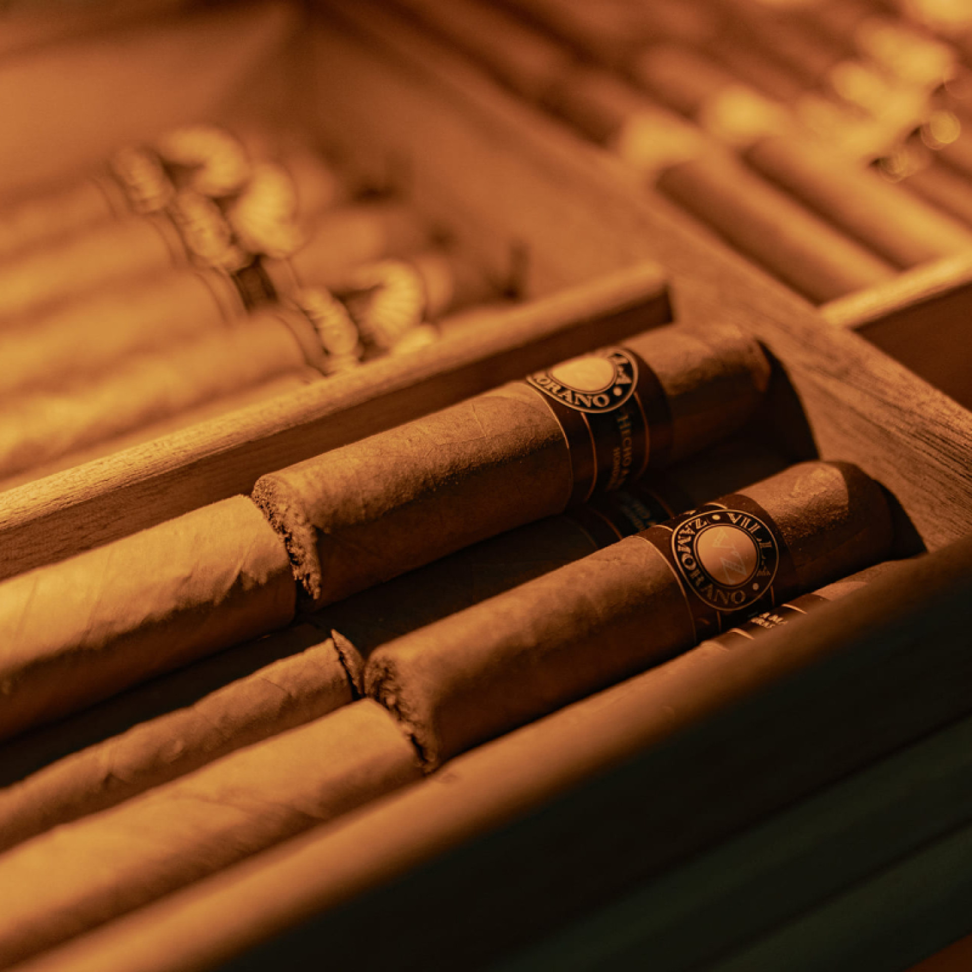 Lagerung einzelner Zigarren. Regal mit verstellbaren Holzfächern. Organisieren Sie Ihre Sammlung in Ihrem Humidorschrank und schützen Sie sie vor Stößen.
