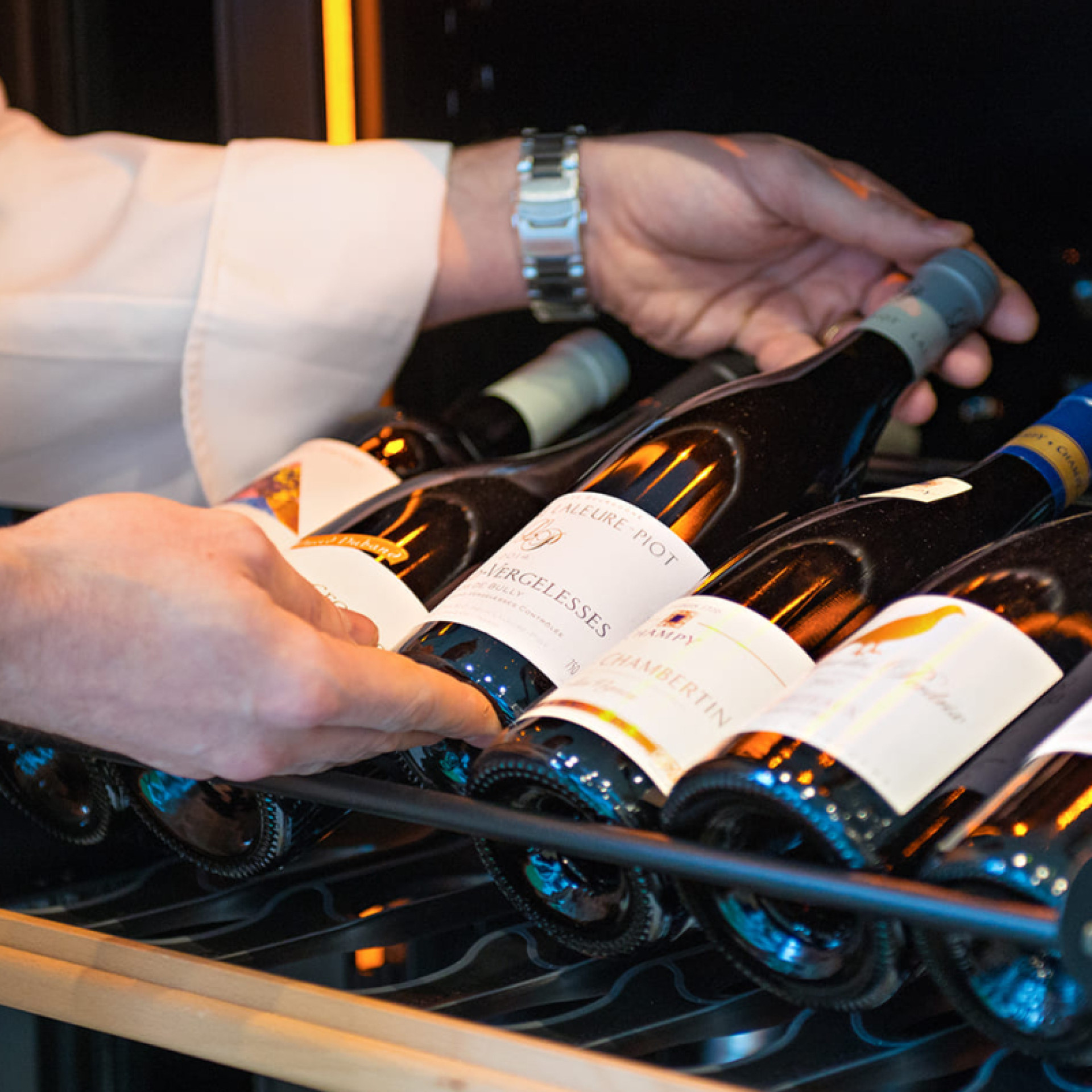 Professioneller Service-Weinkühlschrank. Den Wein auf Temperatur bringen: abkühlen oder kalt stellen. Unabhängige Fächer oder gestaffelte Temperaturen. Regale, einfacher Zugang zu Flaschen, Regalzubehör.