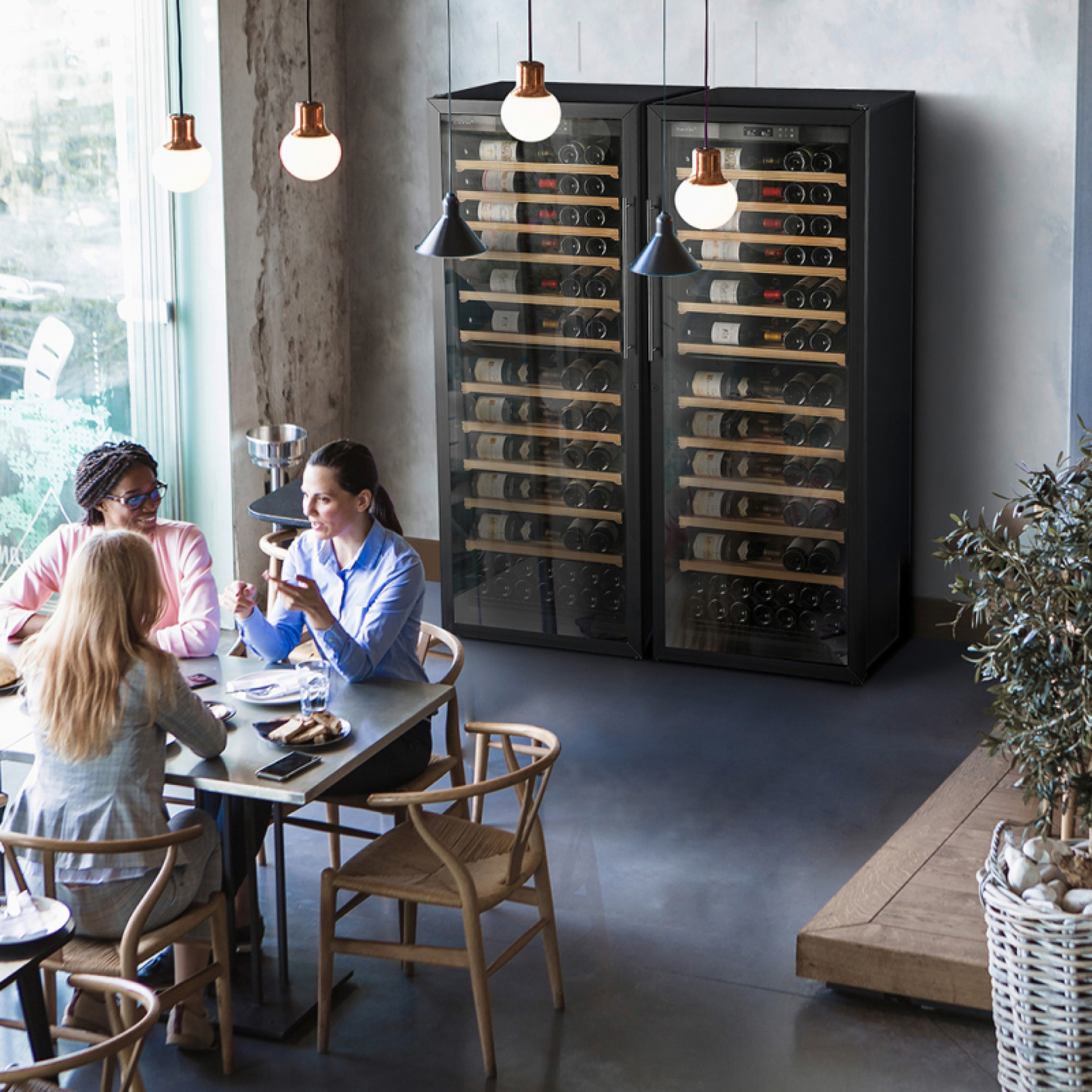 Double service wine cooler located in the room of a restaurant. Cabinet 1 temperature dedicated to rooming reds. Single-temperature cabinet set for cooling whites, rosés and champagnes.