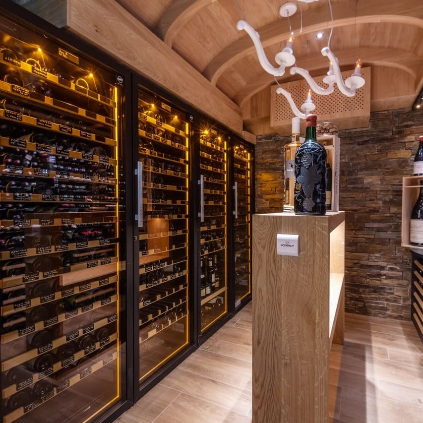 Wand aus professionellen Weinklimaschrank in einem Verkostungsraum mit großer Lagerkapazität. Organisieren Sie Ihre Weinreferenzen mit zuverlässiger professioneller Ausrüstung mit Designer-Ästhetik.