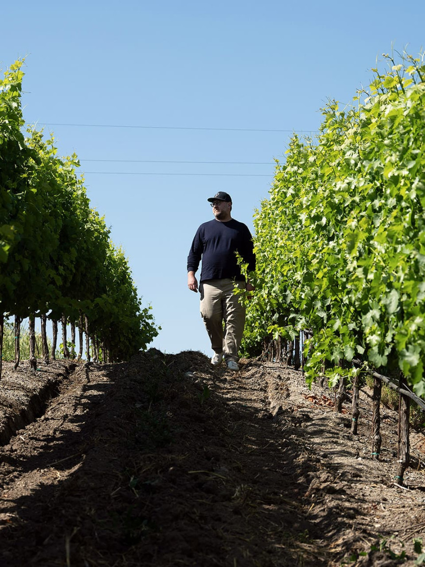 Interview de Dan Petroski - Vigneron - États-Unis, Napa Valley Interview de Dan Petroski - Vigneron - États-Unis, Napa Valley