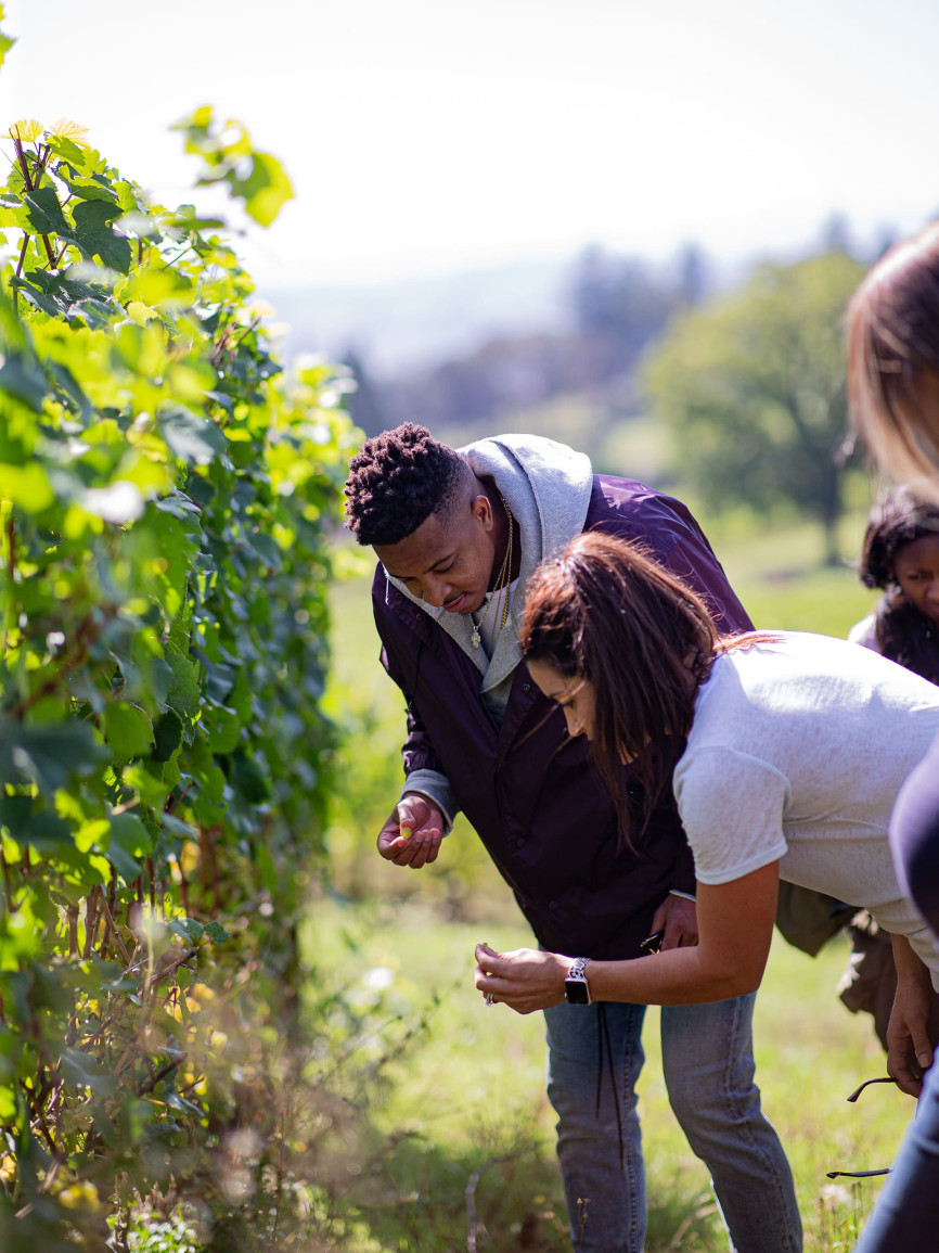 Begegnung mit Elise & CJ McCollum, NBA, Weingut , USA