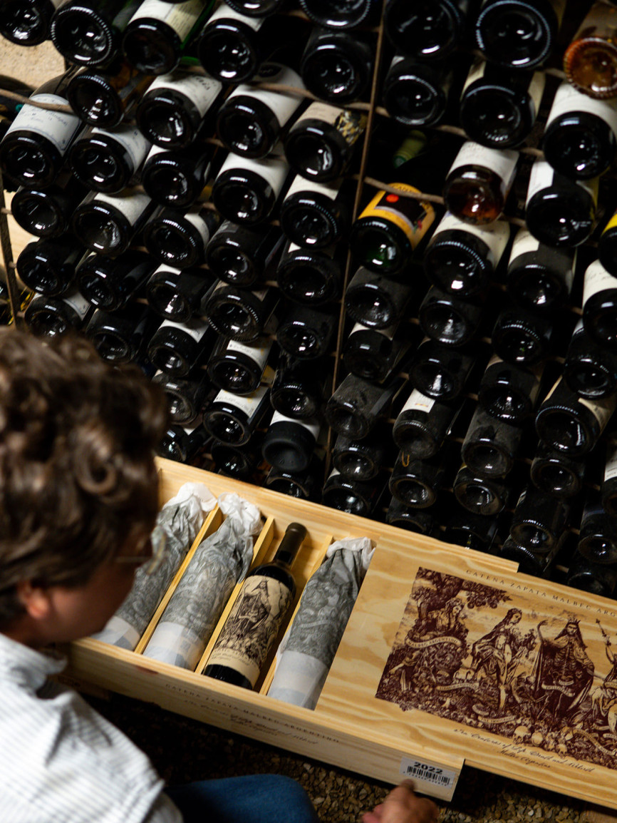 Dans la cave de Théo sélection de vin