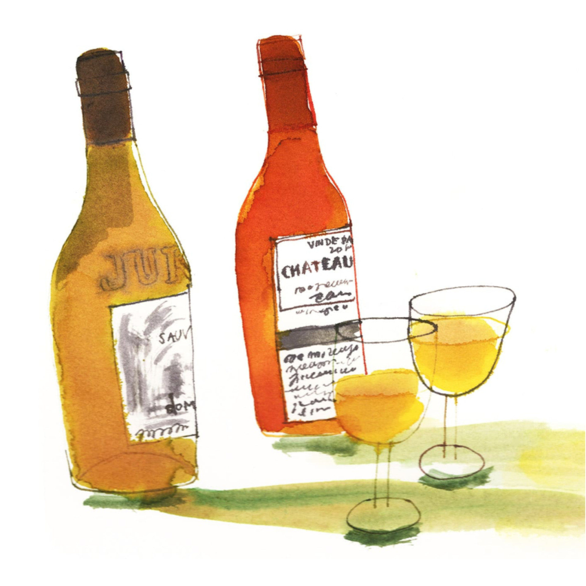 Jura white wines - Artwork by Rebecca Bradley