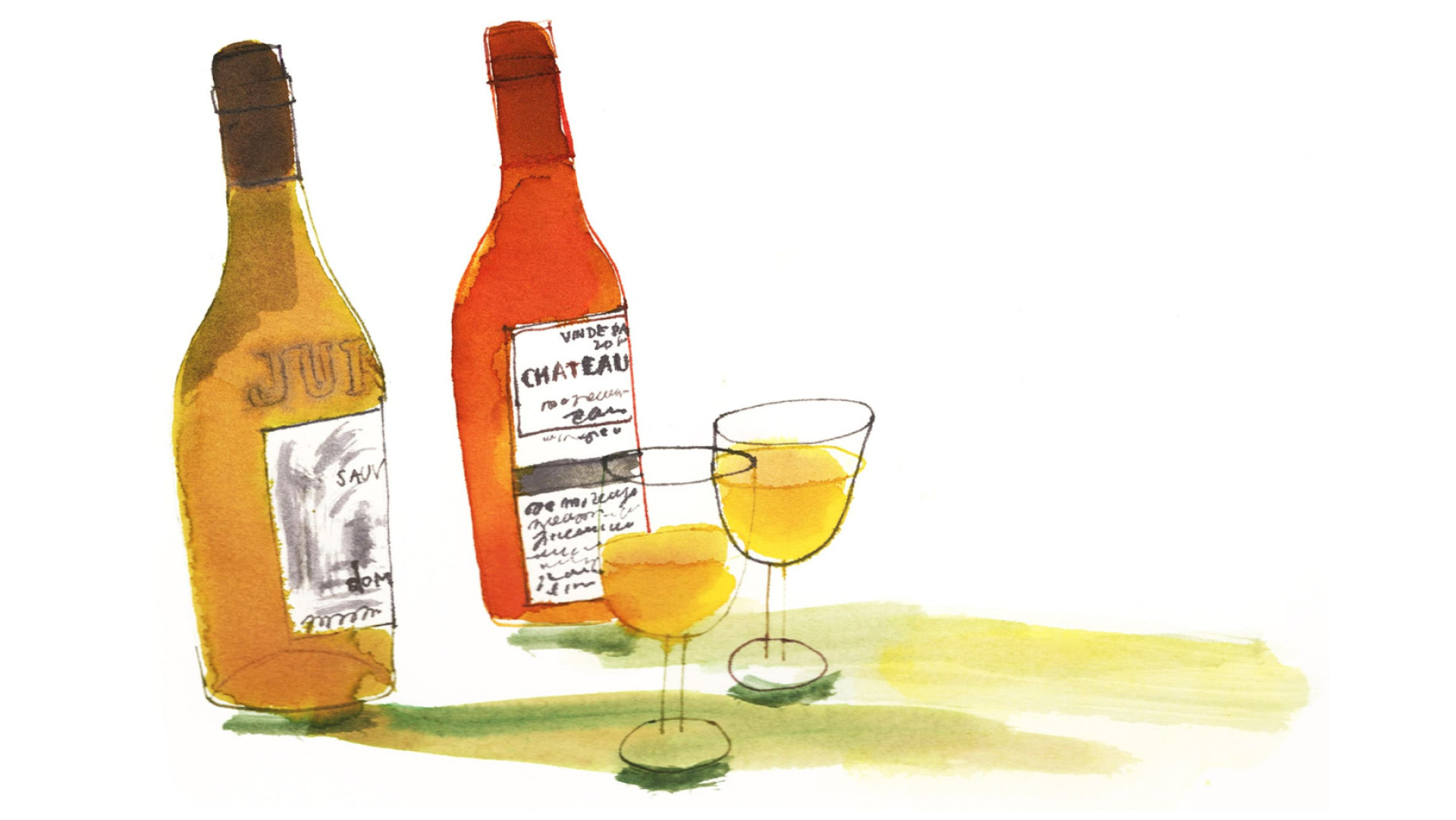 Vins du Jura  - Illustration de Rebecca Bradley